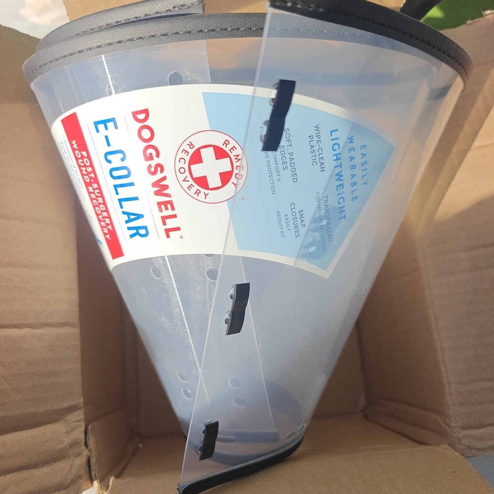 DogSwell Recovery E-Collar - Clear Plastic Cone